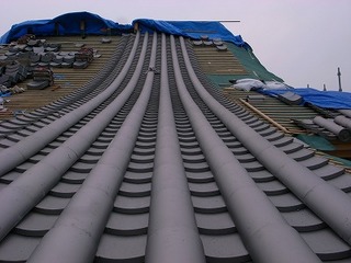 R0015254.jpg